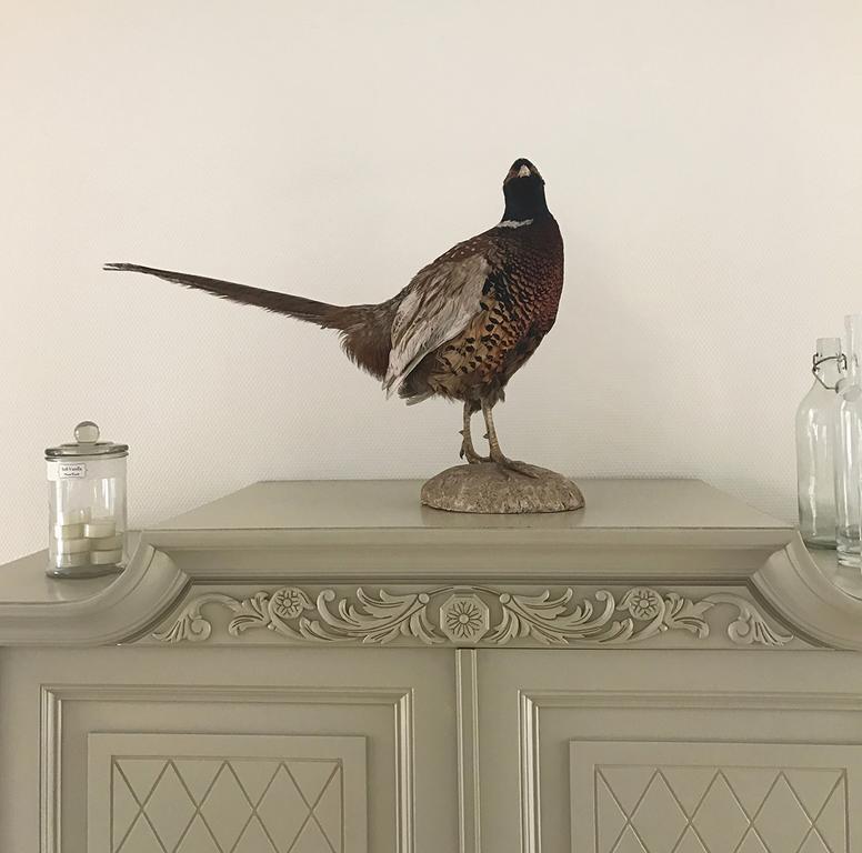 Vita Huset B&B Soelvesborg エクステリア 写真